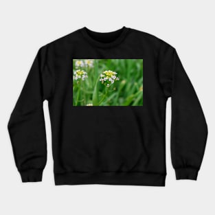 Summer flower Crewneck Sweatshirt